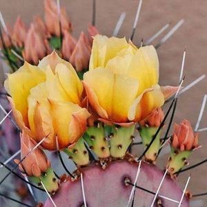 Meet your Posher, Kenna